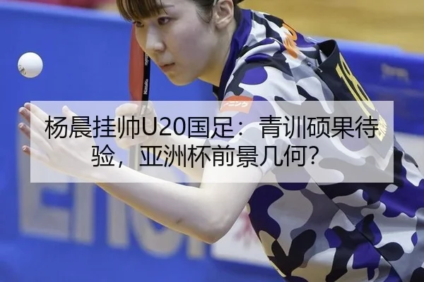 杨晨挂帅U20国足：青训硕果待验，亚洲杯前景几何？
