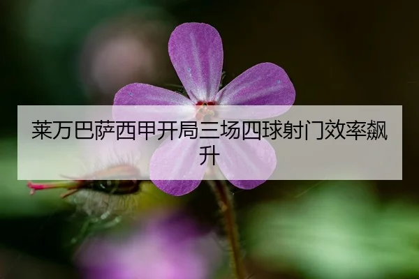 莱万巴萨西甲开局三场四球射门效率飙升