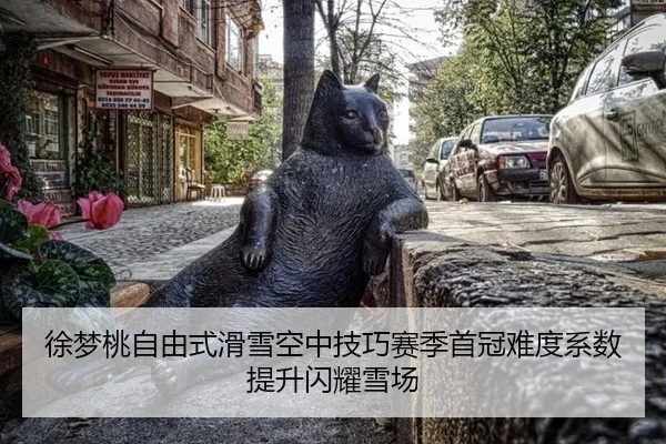 xu-meng-tao-zi-you-shi-hua-xue-kong-zhong-ji-qiao-sai-ji-shou-guan-nan-du-xi-shu-ti-sheng-shan-yao-xue-chang-2-539.jpg